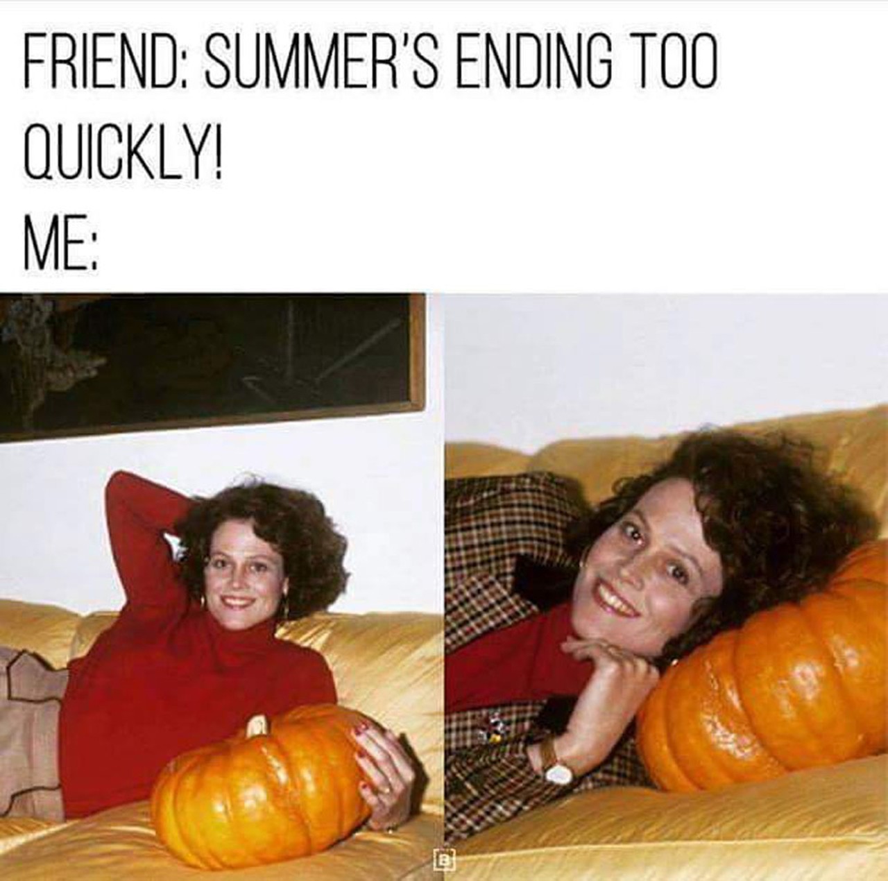 13 of the best pumpkin memes to make your day a little better