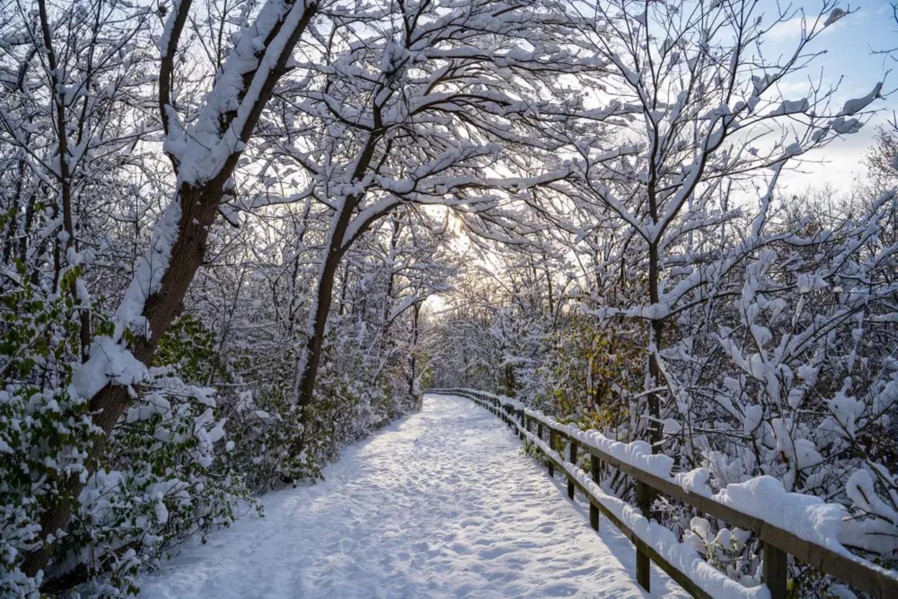 Take a winter hike
We know it’s hard to find the motivation to get outside when the sun is nowhere to be seen for days, but going for a hike can actually ease the winter blues. Getting even the tiniest bit of vitamin D from the sun and moving your body will boost your mood and help you feel less “blah” from being cooped up inside all day. With metro Detroit’s plethora of parks, you’re spoiled for choice. Palmer Park, Rouge Park, Maybury State Park, Pinckney Recreation Area, and Kensington Metropark are some of our faves, but if you need more ideas, we’ve got a whole slideshow dedicated to winter hiking spots. —Randiah Camille Green