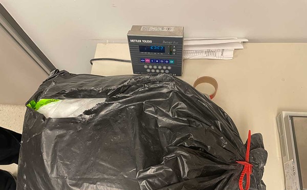 Authorities seized about 110 pounds of ketamine from luggage at Detroit Metropolitan Airport.