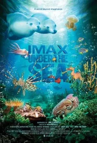 Image: Under the Sea