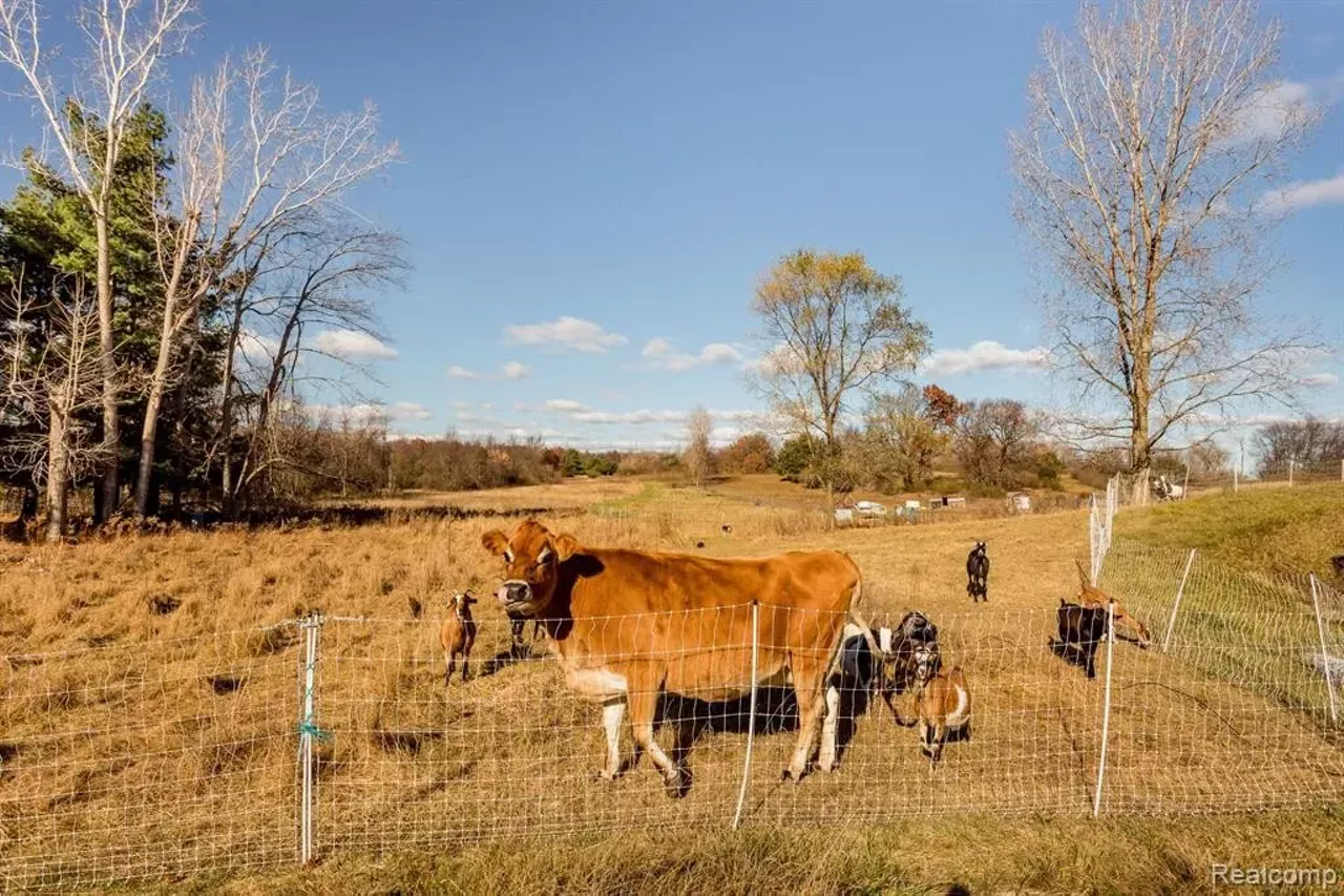 Image: Unique buried ‘earth shelter’ house hits market in Michigan