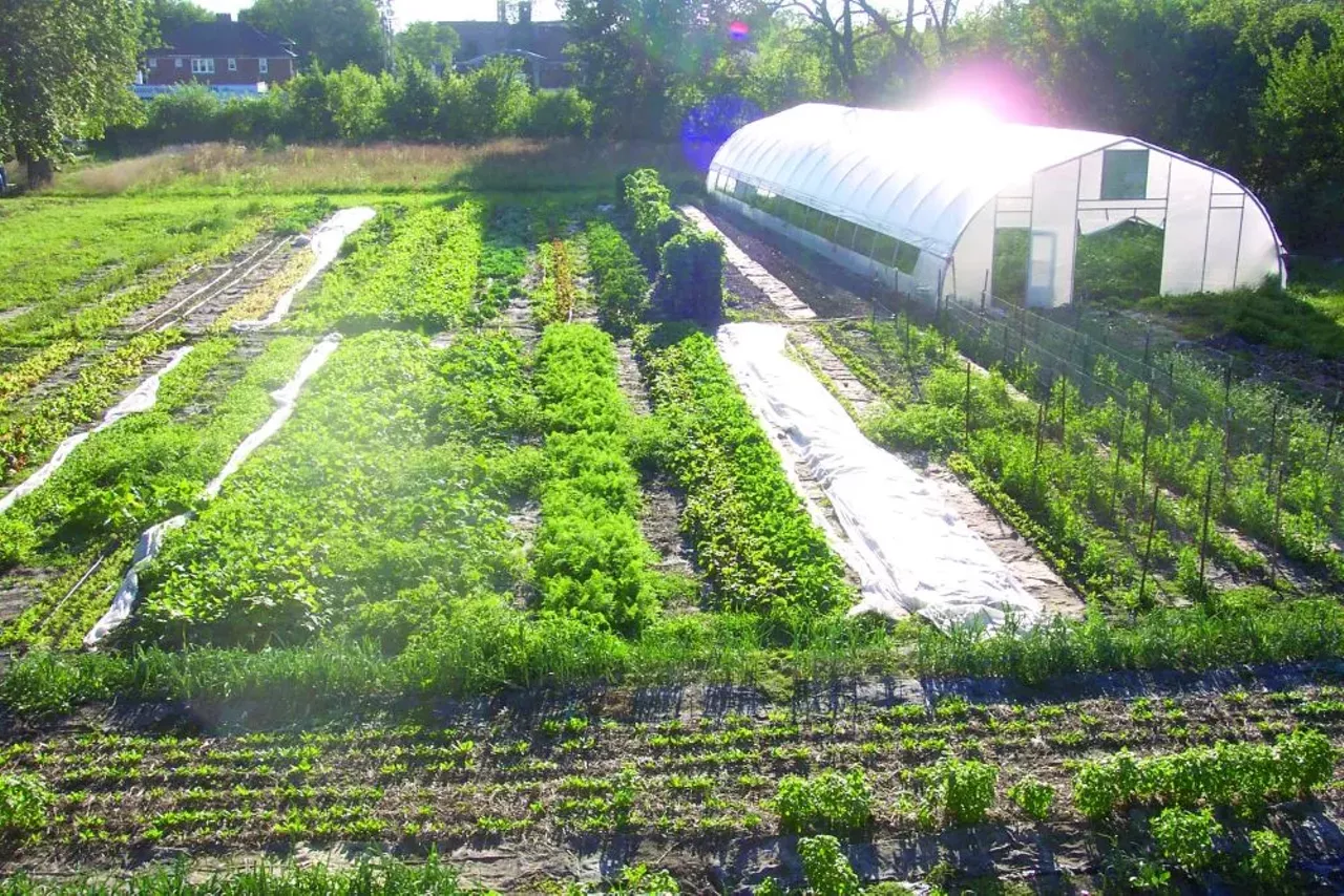 Image: Urban Farms and Gardens of Detroit