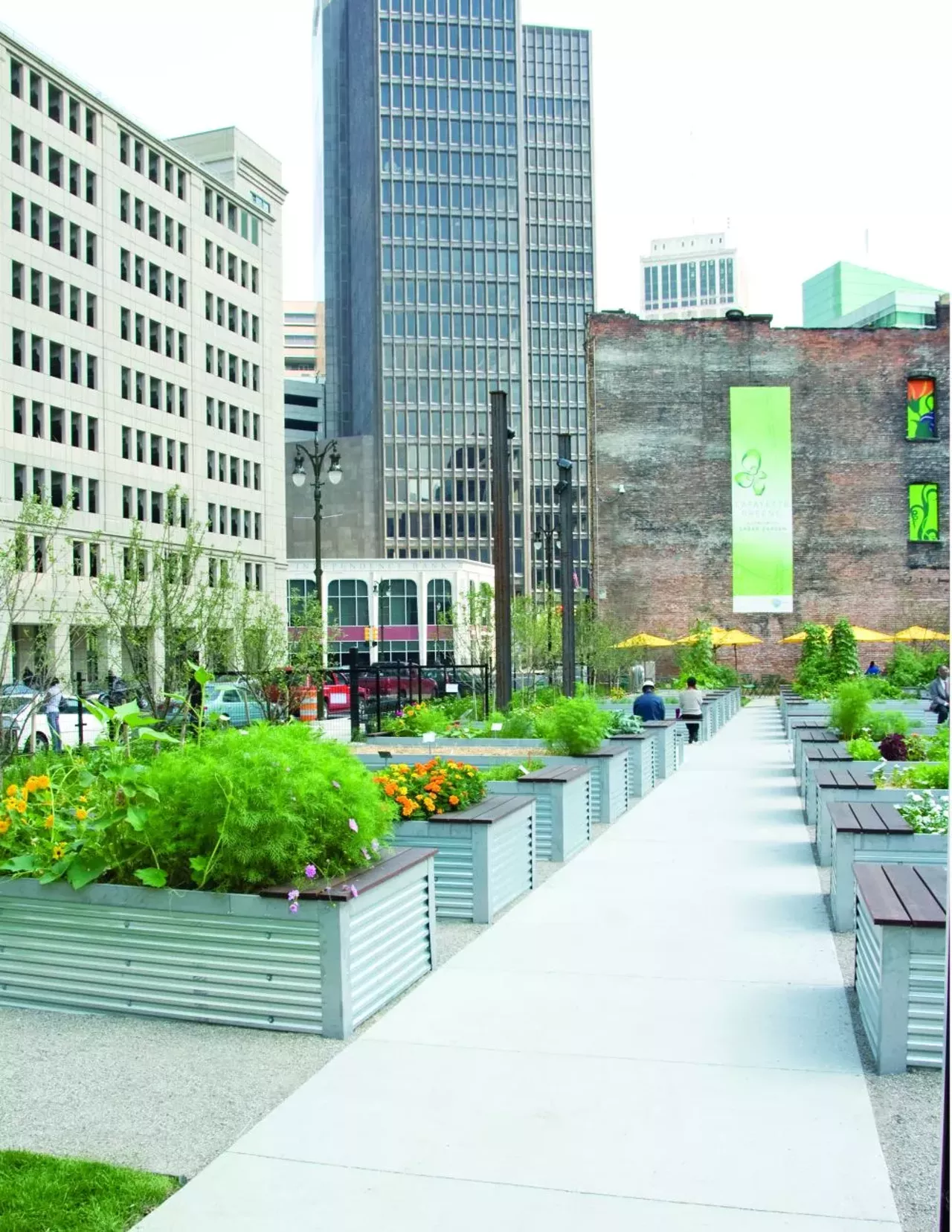 Image: Urban Farms and Gardens of Detroit
