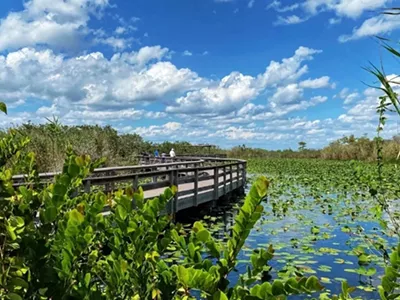 Image: Visiting the Florida Everglades National Park – My Favorite Things to Do