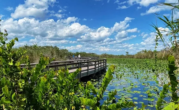 Image: Visiting the Florida Everglades National Park – My Favorite Things to Do