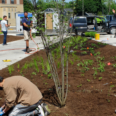Volunteers help plant a rain garden