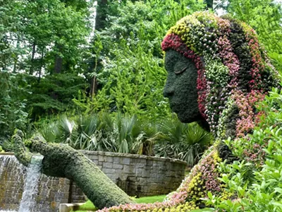Image: Wandering Through Botanical Gardens in Atlanta