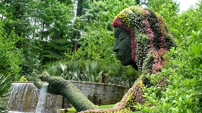 Image: Wandering Through Botanical Gardens in Atlanta