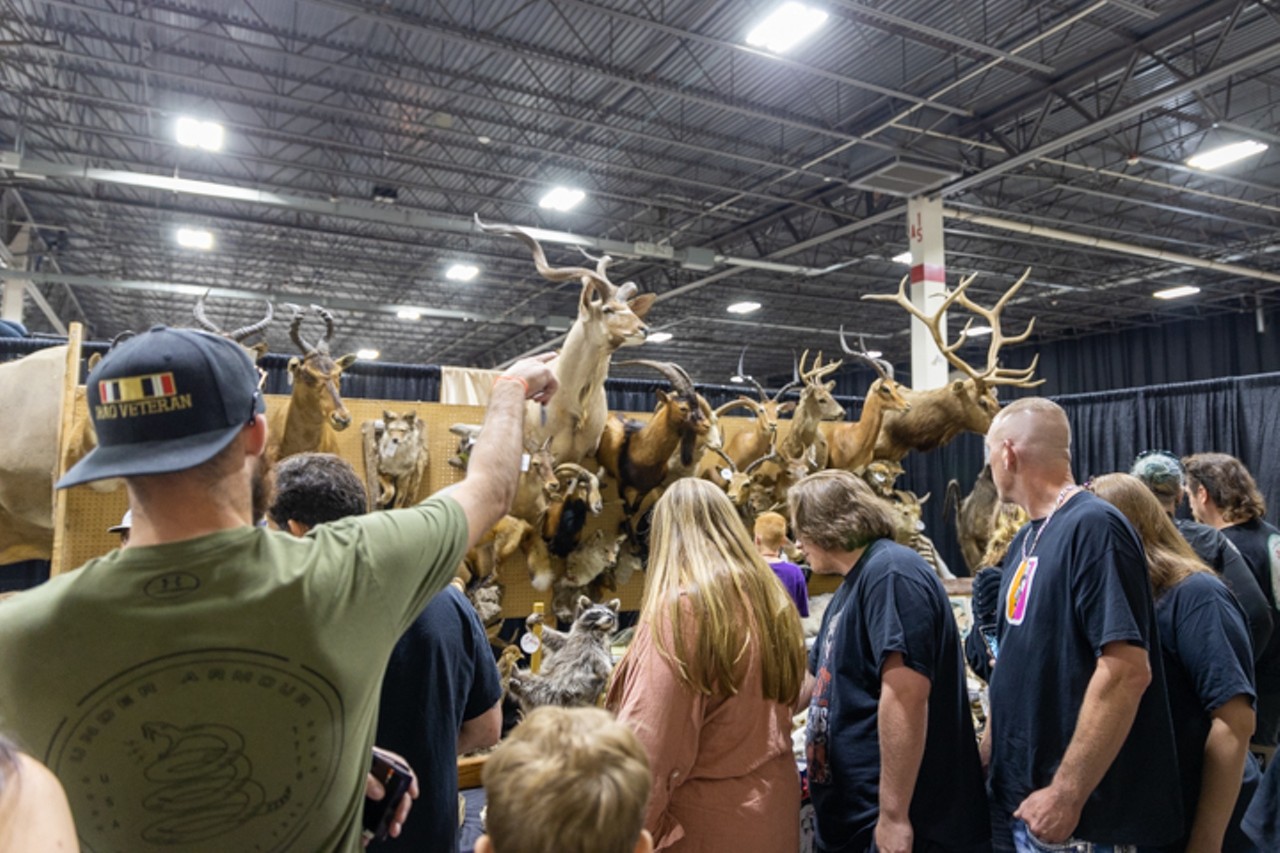 What we saw at the Oddities and Curiosities Expo 2022 in Novi