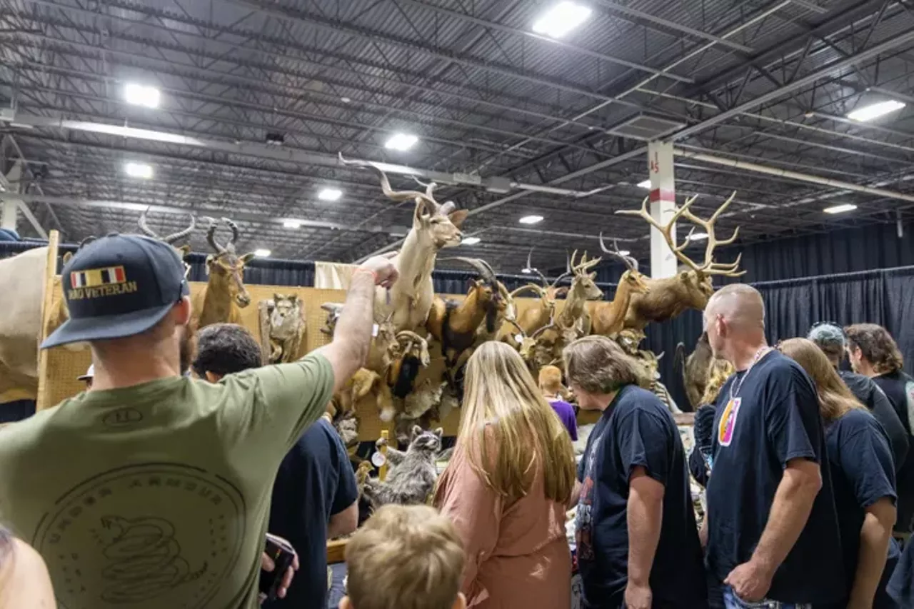 Image: What we saw at the Oddities and Curiosities Expo 2022 in Novi