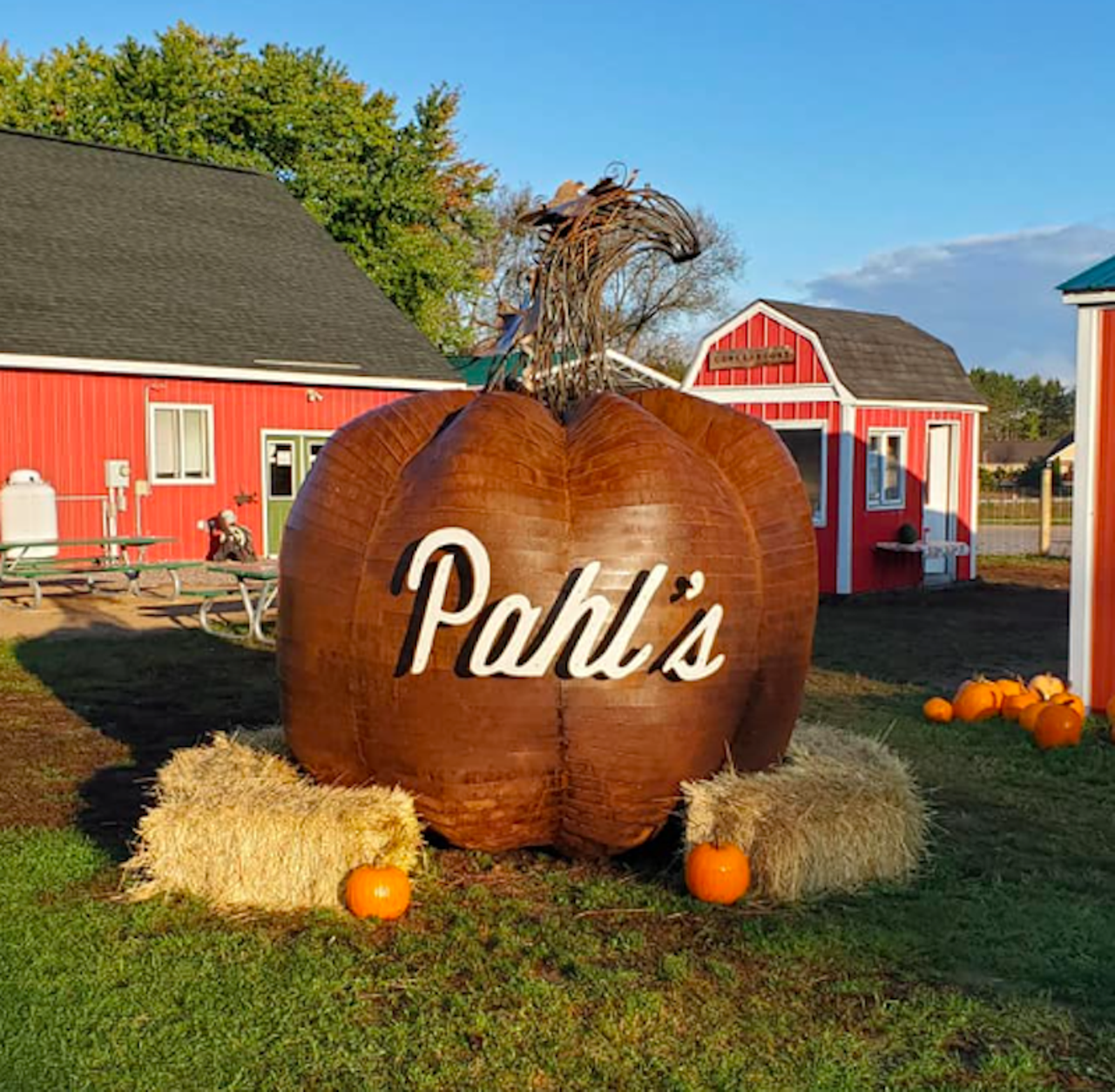 Pahl's Pumpkin Patch 11168 M-37, Buckley; 231-269-4400; pahlspumpkinpatch.com Keeping it simple — and simply orange—is Pahl's Pumpkin Patch, which offers a u-pick patch for all your pumpkin needs, as well as a corn maze, doughnuts, cider, and gourds. 