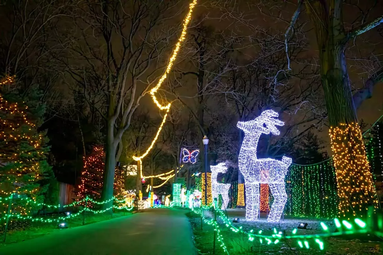 Wild Lights at the Detroit Zoo A tradition for more than 10 years, this family friendly event sees the Detroit Zoo decked out in more than 5 million LED lights, including some in the shapes of larger-than-life animals. Santa will also be onsite for photos from 5-10 p.m. on Fridays and 5-9 p.m. on Saturdays. Through Jan. 5 at the Detroit Zoo; 8450 W. 10 Mile Rd., Royal Oak; detroitzoo.org. Tickets range from $17-$25 based on time of day.