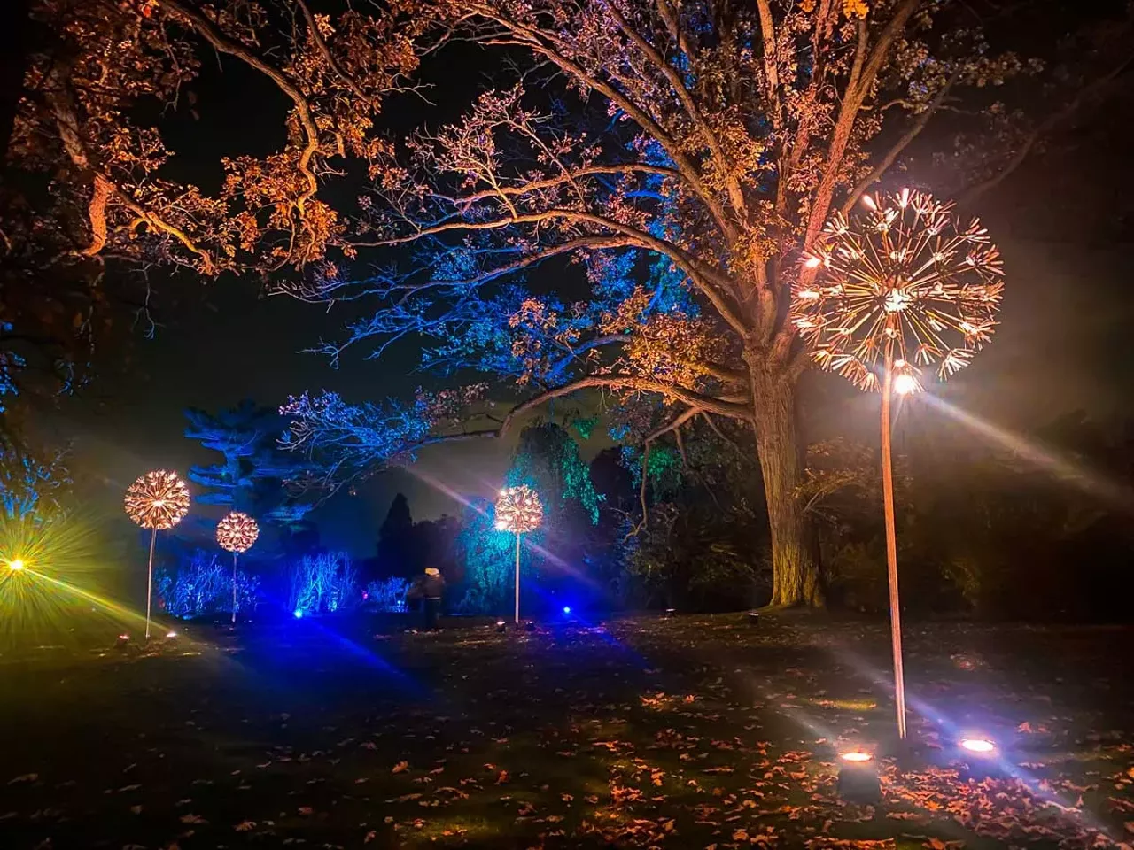 ENLIGHTEN Frederik Meijer Gardens & Sculpture Park is celebrating its 30th anniversary year with this immersive outdoor light spectacle. The one-mile illuminated pathway includes state-of-the-art light installations integrated into the park’s existing sculptures, synchronized to music with interactive elements. From Nov. 27-Jan. 4 at Frederik Meijer Gardens & Sculpture Park; 1000 East Beltline Ave. NE, Grand Rapids; meijergardens.org/enlighten. Tickets are $10-$20 for members, $12-$24 for nonmembers.