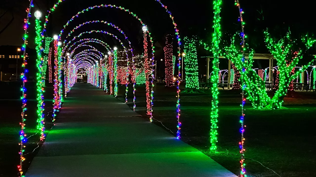 Tunnel of Lights A dazzling light display in Blossom Heath Park free and open to the public; no park pass necessary. From Dec. 7-Jan. 26 at Blossom Heath Park; 24800 Jefferson Ave., St. Clair Shores; scsmi.net. No cover.