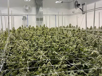 Exotic Matter's indoor grow in Kalkaska.