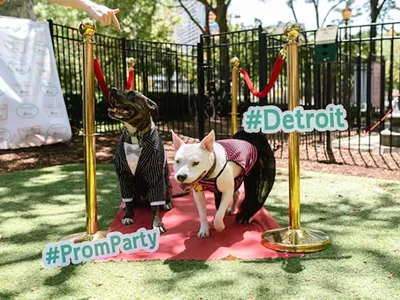 The 6th Annual Grand Circus Park Dog Prom returns this Saturday.