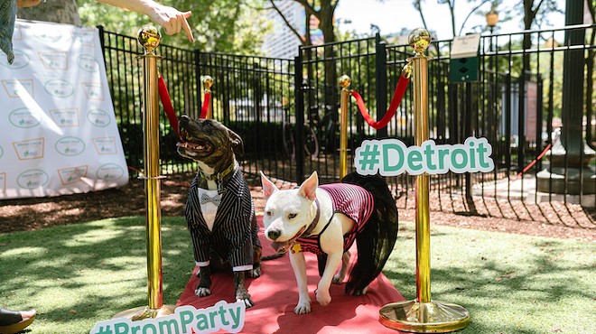 The 6th Annual Grand Circus Park Dog Prom returns this Saturday.