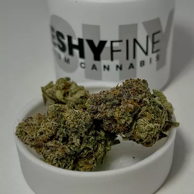For a backyard barbecue: Sun Cake by Freshy Fine is a fruit-heavy hybrid that balances relaxation with an upbeat mood. A cross of Sunset Sherbet and Wedding Cake, this strain practically screams summer. The high is smooth and euphoric, offering comfort without the couch lock. It’s perfect for grilling with friends as the sun sets. If you’re after a chill summer day, this is a great strain.